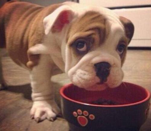 ҹȨͳһǼ202111ʵʩ